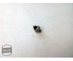 Suzuki GSX600F oliedruk sensor / oliedruksensor / olie druk switch
